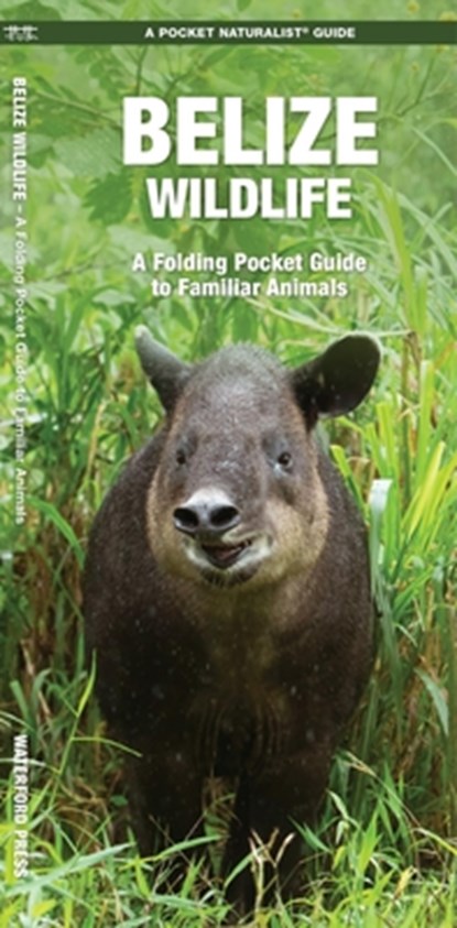 Belize Wildlife: A Folding Pocket Guide to Familiar Animals, James Kavanagh - Gebonden - 9781583558676