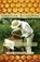 Sensitive Beekeeping, Jack Bresette-Mills - Paperback - 9781584209935