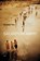 Salvation Army, Abdellah Taia - Paperback - 9781584350705