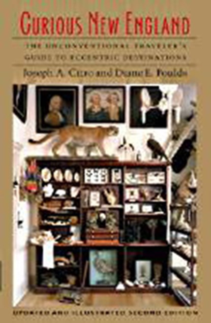 Curious New England, Diane E. Foulds ; Joseph E. Citro - Paperback - 9781584653592