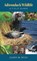 Adirondack Wildlife, James M. Ryan - Paperback - 9781584657491