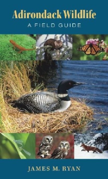 Adirondack Wildlife, James M. Ryan - Paperback - 9781584657491