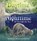 Daytime Nighttime, All Through the Year, Diane Lang - Paperback - 9781584696070
