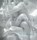 Sexual Ecstasy, Margot Anand - Paperback - 9781585420285