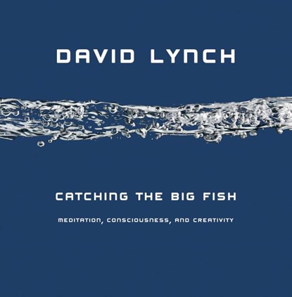 Catching the Big Fish, David Lynch - Gebonden - 9781585425402