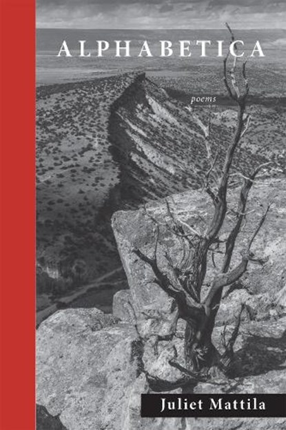 Alphabetica, Juliet Mattila - Paperback - 9781586541293