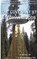 The Covenant at Stedman Woods, Steve Scott - Paperback - 9781587212536