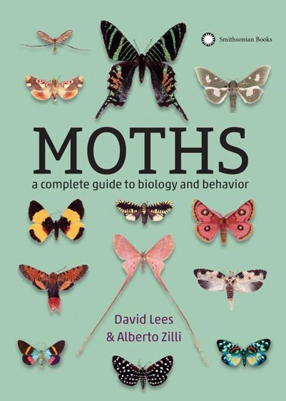 Lees, D: Moths, David Lees ; Alberto Zilli - Paperback - 9781588346544