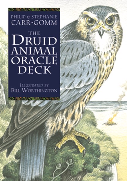 FLSH CARD-DRUID ANIMAL ORACLE, Philip Carr-Gomm - Paperback - 9781590035238