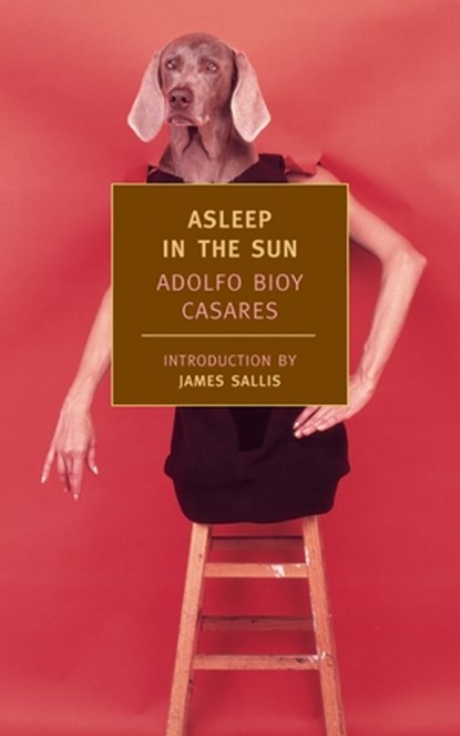 ASLEEP IN THE SUN, Adolfo Bioy Casares - Paperback - 9781590170953