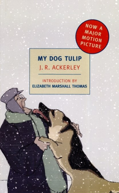 My Dog Tulip, Elizabeth Marshall Thomas ; J R Ackerley ; J.R. Ackerley - Paperback - 9781590174142