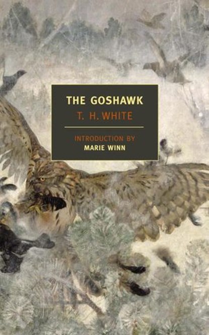 The Goshawk, T.H. White - Ebook - 9781590175460