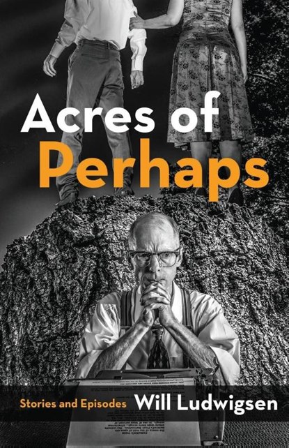 Acres of Perhaps, Will Ludwigsen - Paperback - 9781590213650