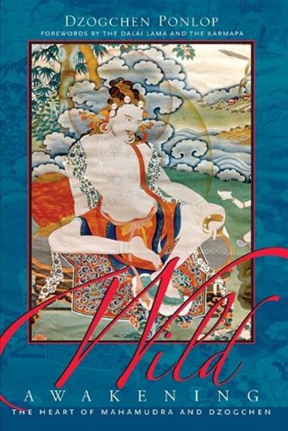 Wild Awakening, Dzogchen Ponlop - Paperback - 9781590300961