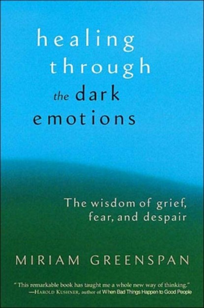 Healing through the Dark Emotions, Miriam Greenspan - Paperback - 9781590301012