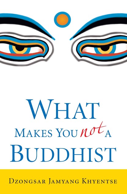What Makes You Not a Buddhist, Dzongsar Jamyang Khyentse - Paperback - 9781590305706