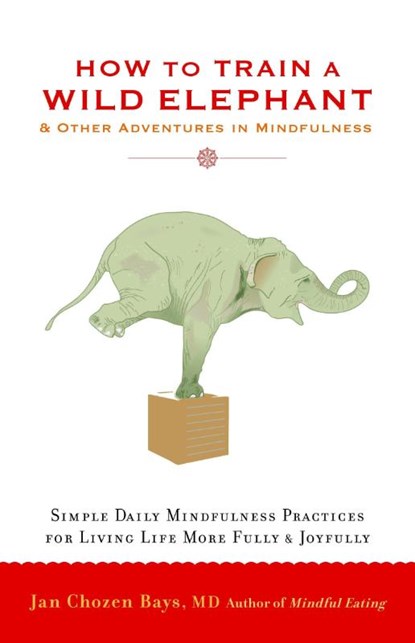 How to Train a Wild Elephant, Jan Chozen Bays - Paperback - 9781590308172