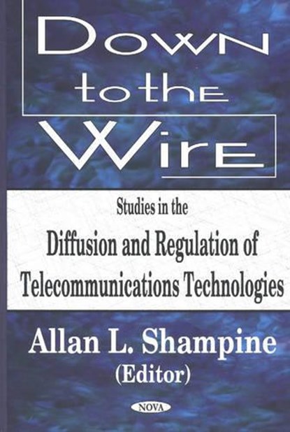 Down to the Wire, Allan L Shampine - Paperback - 9781590337783