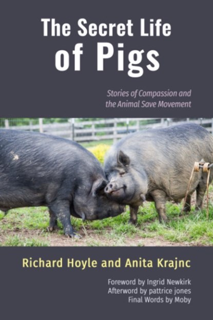 The Secret Life of Pigs, HOYLE,  Richard (Richard Hoyle) ; Krajnc, Anita (Anita Krajnc) - Paperback - 9781590566664