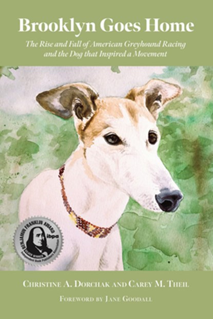 Brooklyn Goes Home, Christine A. (Christine A. Dorchak) Dorchak ; Carey M. (Carey M. Theil) Theil - Paperback - 9781590567142