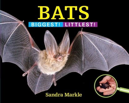 Bats, Sandra Markle - Gebonden - 9781590789520