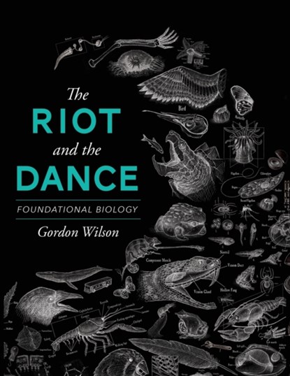 The Riot and the Dance, Gordon Wilson - Paperback - 9781591281238