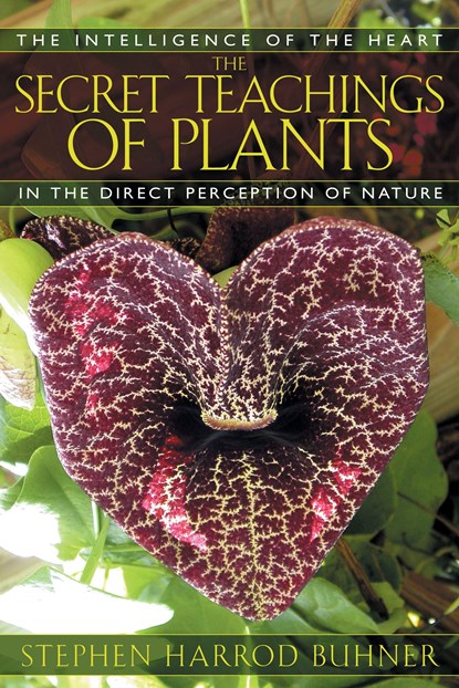 The Secret Teachings of Plants, Stephen Harrod Buhner - Paperback - 9781591430353