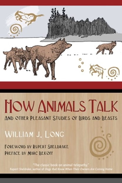 How Animals Talk, William J. Long ; Marc Bekoff - Ebook - 9781591438984