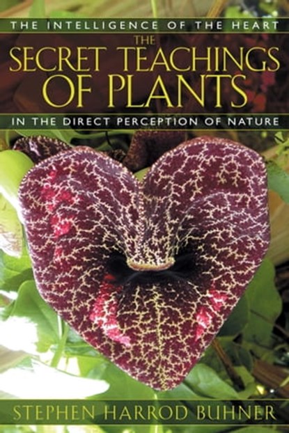 The Secret Teachings of Plants, Stephen Harrod Buhner - Ebook - 9781591439820