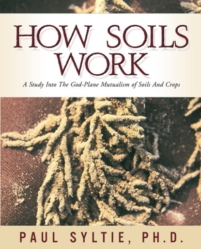 How Soils Work, Paul W Syltie - Paperback - 9781591600954