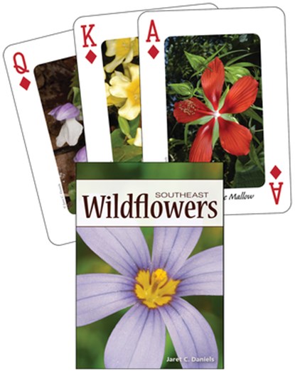 Wildflowers of the Southeast, Jaret C. Daniels - Gebonden - 9781591933687