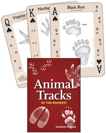 Animal Tracks of the Midwest Playing Cards, Jonathan Poppele - Gebonden - 9781591934875