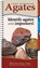 Lake Superior Agates, Jim Magnuson - Gebonden - 9781591938088