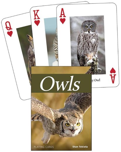 Owls Playing Cards, Stan Tekiela - Losbladig - 9781591939344