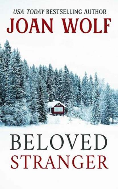Beloved Stranger, Joan Wolf - Paperback - 9781592116409