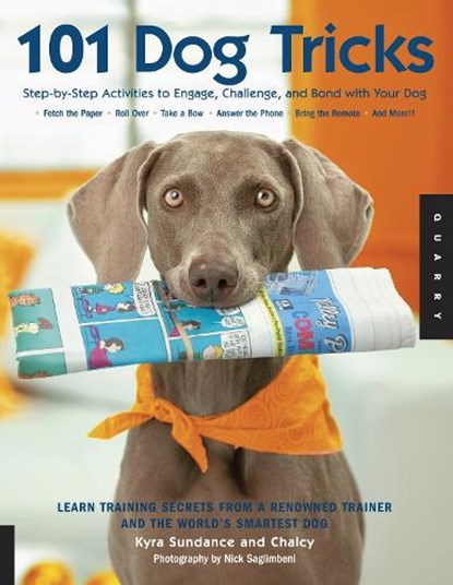101 Dog Tricks, Kyra Sundance - Paperback - 9781592533251