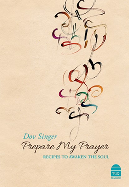 Prepare My Prayer, Dov Singer - Gebonden - 9781592645374