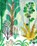 The Forest, Riccardo Bozzi - Paperback - 9781592702183