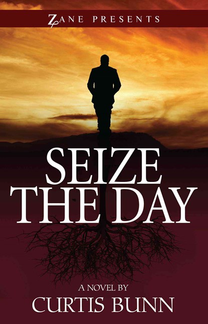 Seize The Day, Curtis Bunn - Paperback - 9781593095741