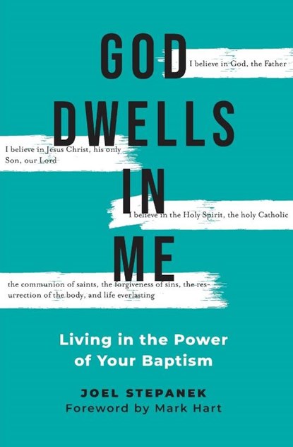 God Dwells in Me, Joel Stepanek - Paperback - 9781593255909