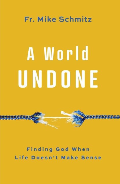 World Undone, Fr Mike Schmitz - Paperback - 9781593255992