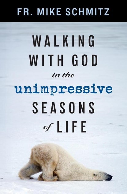 Walking with God in the Unimpressive Seasons of Life, Fr. Mike Schmitz - Paperback - 9781593257224
