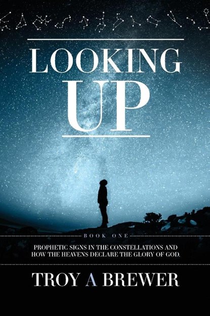 Looking Up, Troy A Brewer - Paperback - 9781593309107
