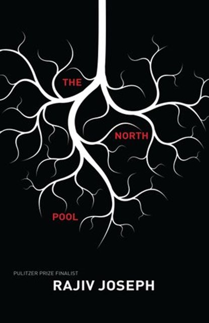 The North Pool, Rajiv Joseph - Ebook - 9781593764982