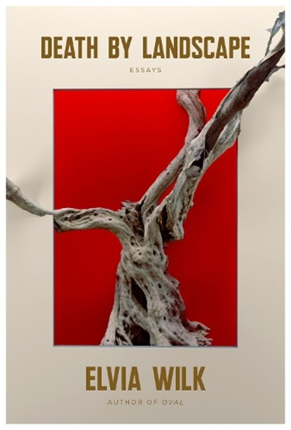 Death by Landscape, Elvia Wilk - Paperback - 9781593767150