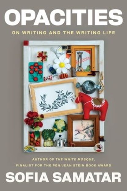 Opacities, Sofia Samatar - Ebook - 9781593767679