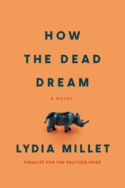 How the Dead Dream, Lydia Millet - Paperback - 9781593767907