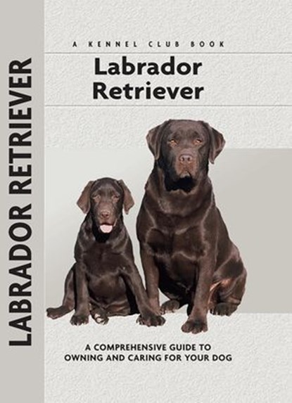 Labrador Retriever, Margaret A. Gilbert - Ebook - 9781593788568