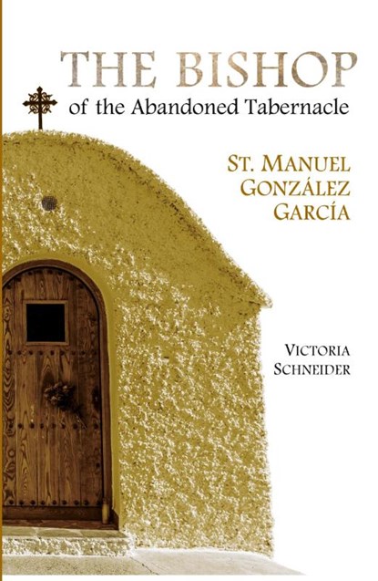The Bishop of the Abandoned Tabernacle, Victoria Schneider - Paperback - 9781594173141