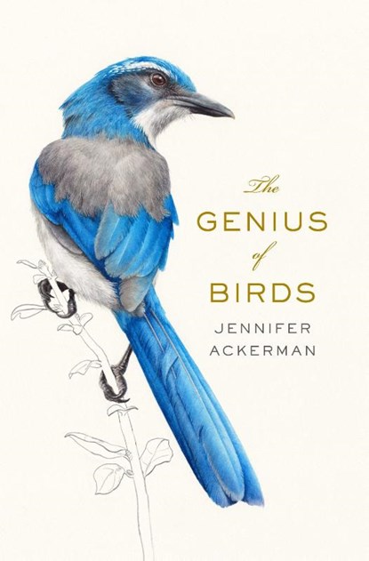 Ackerman, J: Genius of Birds, Jennifer Ackerman - Gebonden - 9781594205217